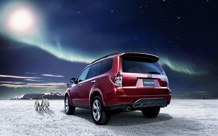  Subaru Forester 2009 года  (фото 26 из 156)